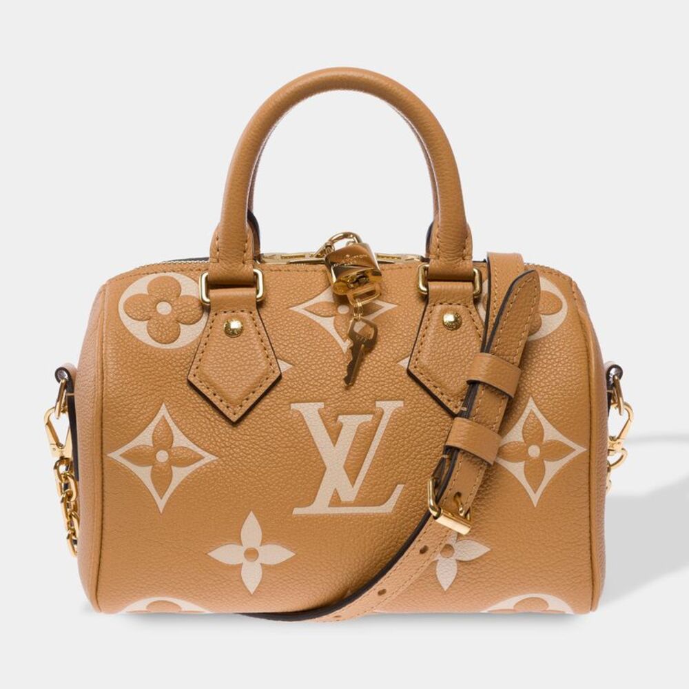 LOUIS VUITTON Speedy Handbag